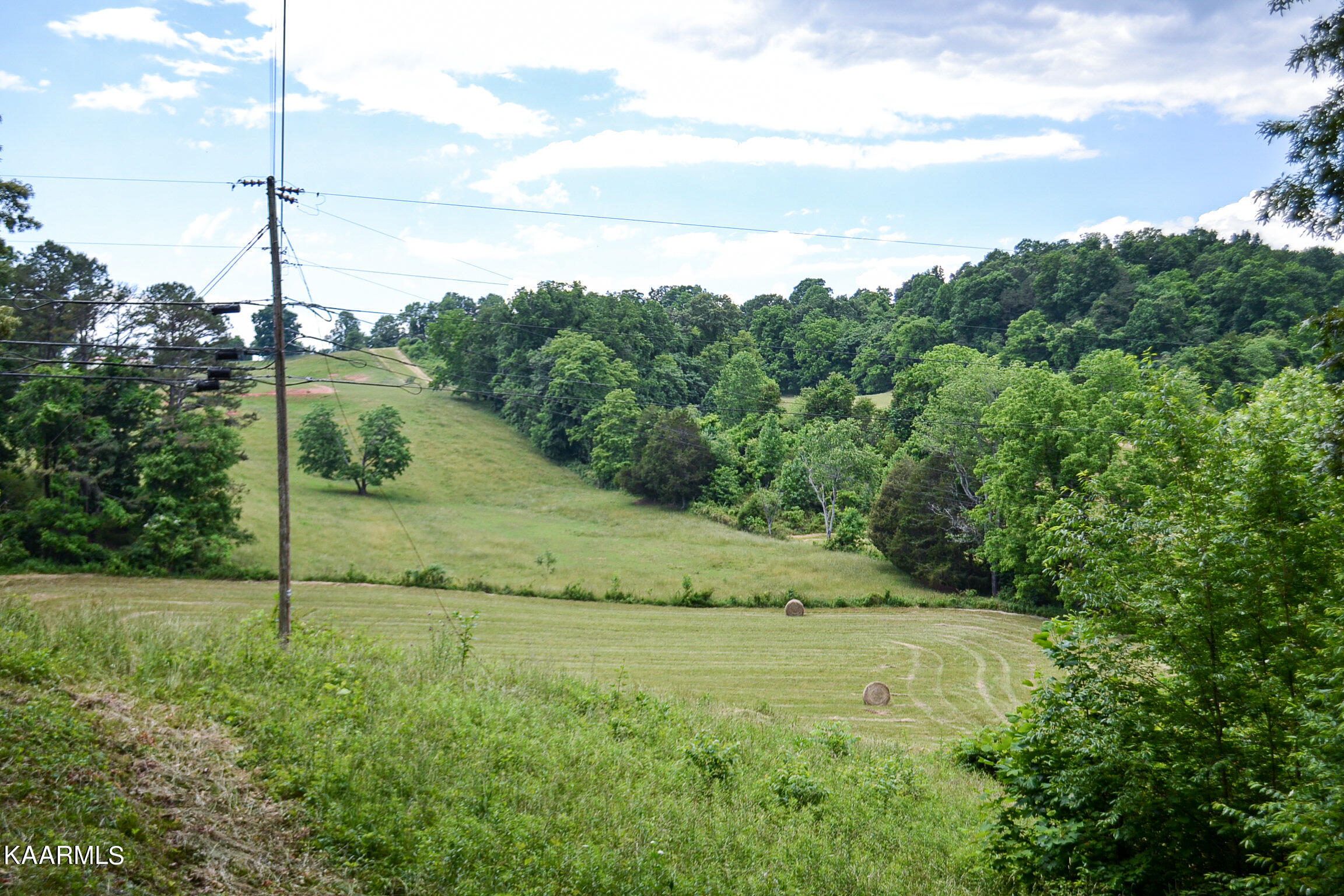 Tbd Cupp Ridge Road New Tazewell, TN 37825 - Photo 23 of 49 DSC_0792