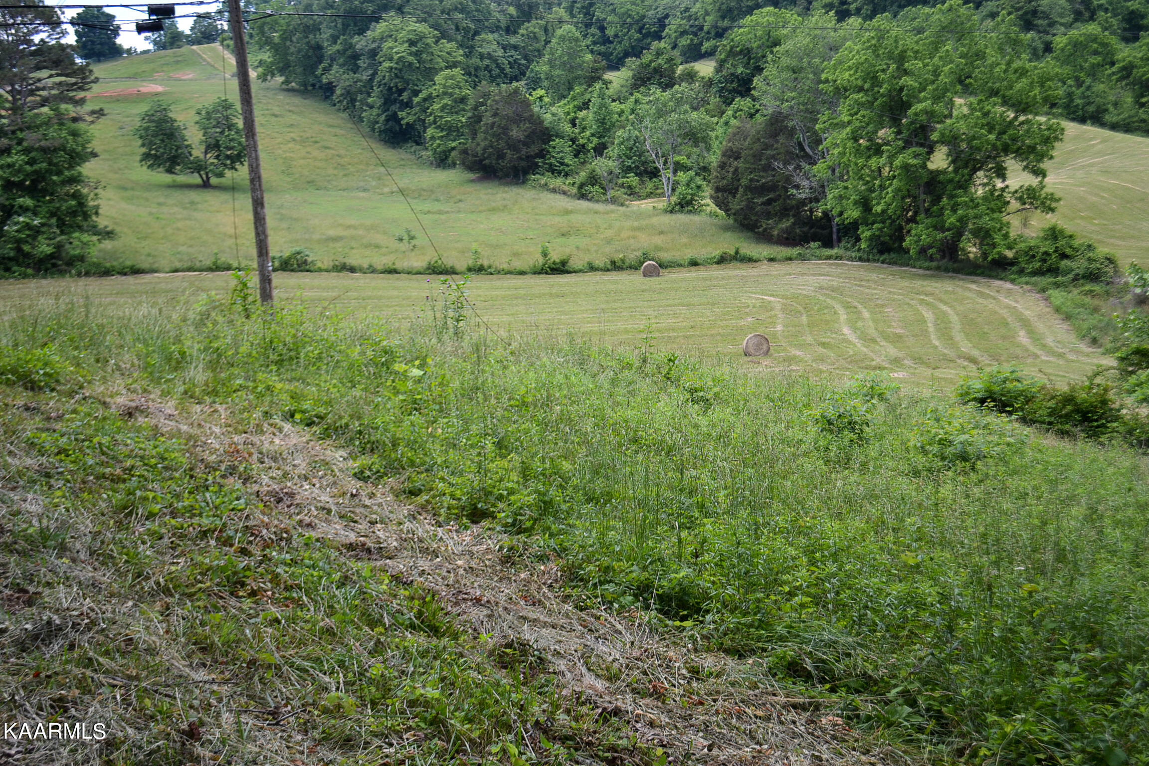 Tbd Cupp Ridge Road New Tazewell, TN 37825 - Photo 24 of 49 DSC_0793