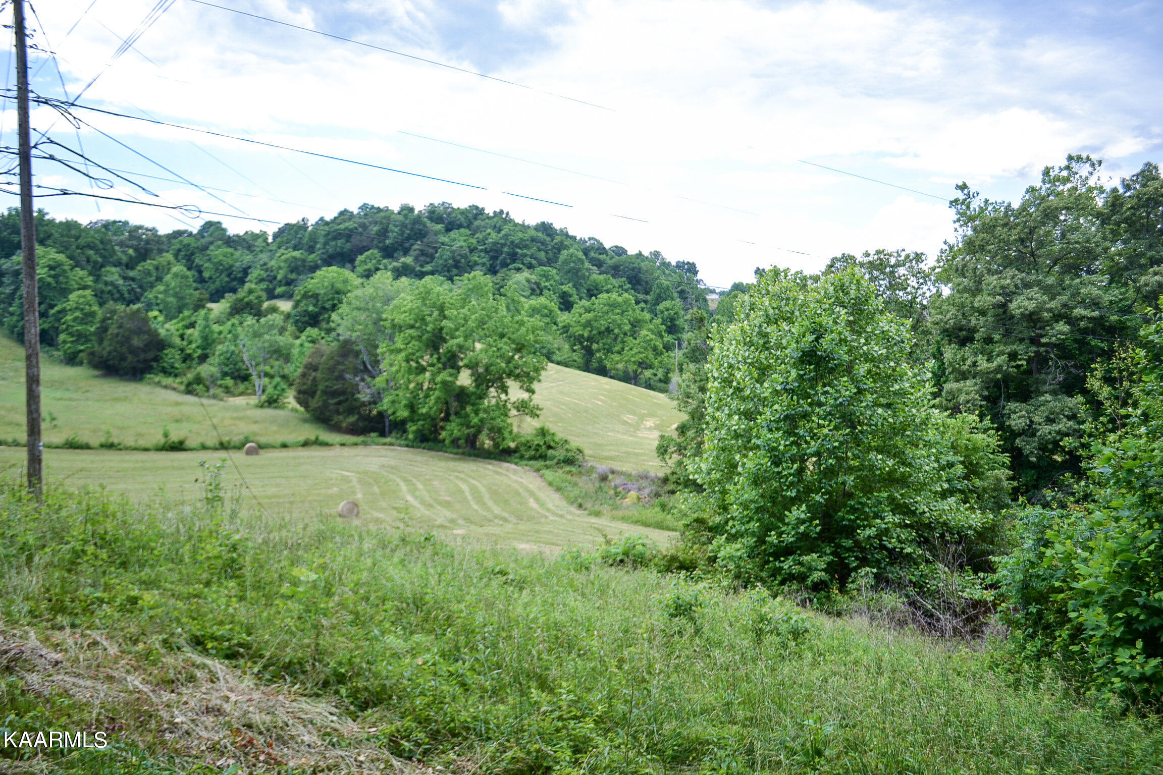 Tbd Cupp Ridge Road New Tazewell, TN 37825 - Photo 26 of 49 DSC_0795