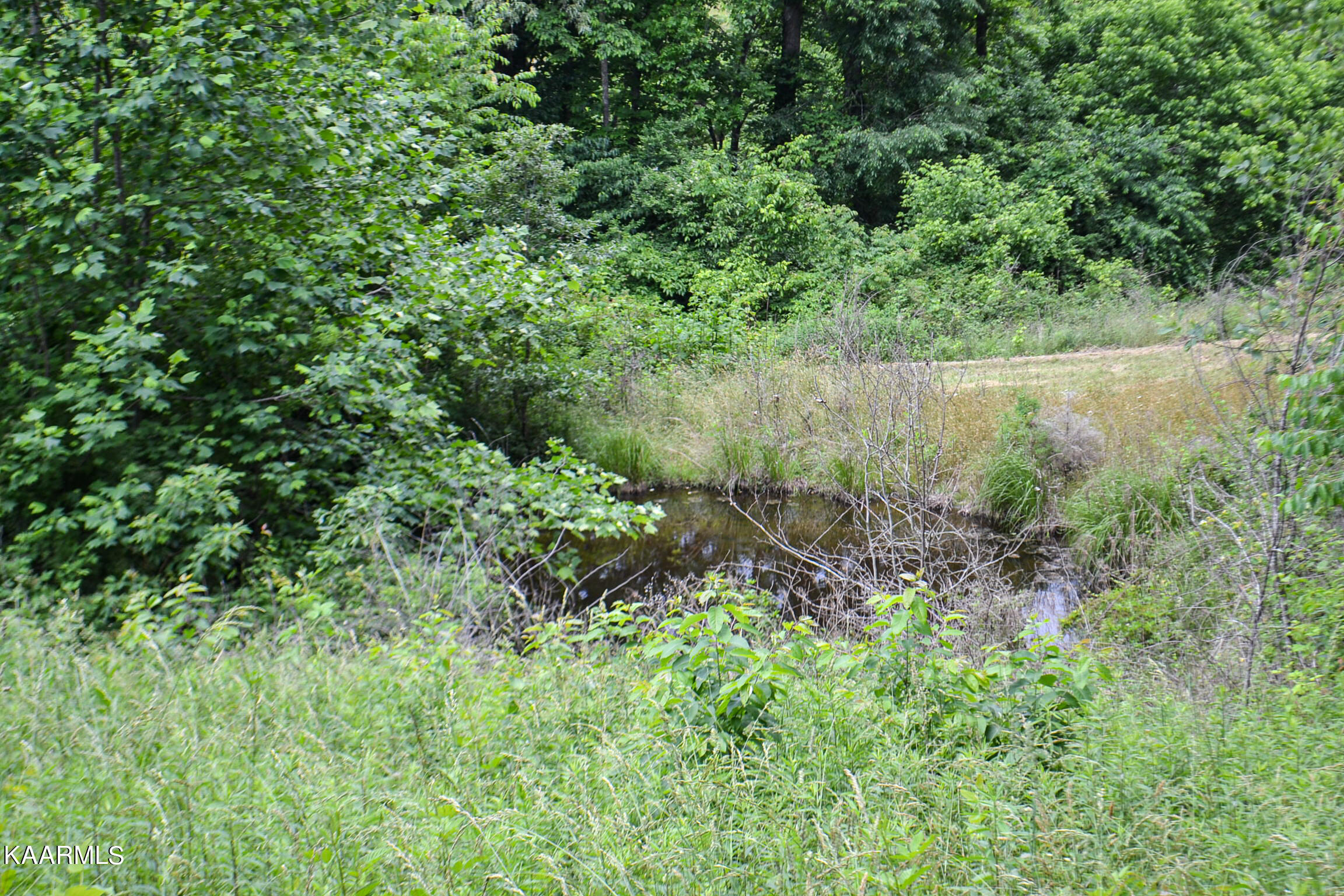 Tbd Cupp Ridge Road New Tazewell, TN 37825 - Photo 27 of 49 DSC_0796