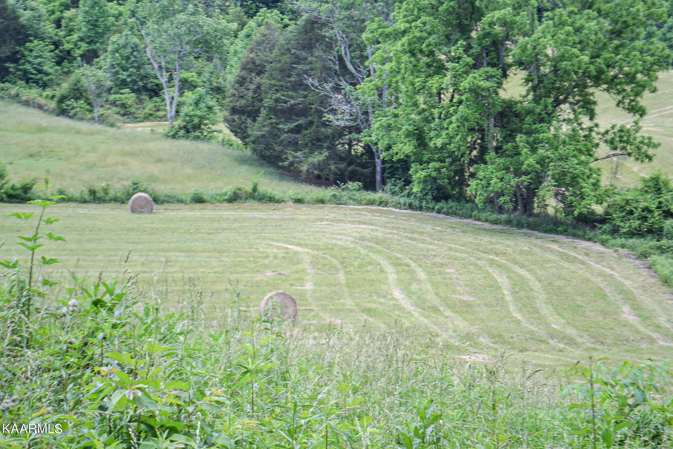 Tbd Cupp Ridge Road New Tazewell, TN 37825 - Photo 34 of 49 DSC_0804