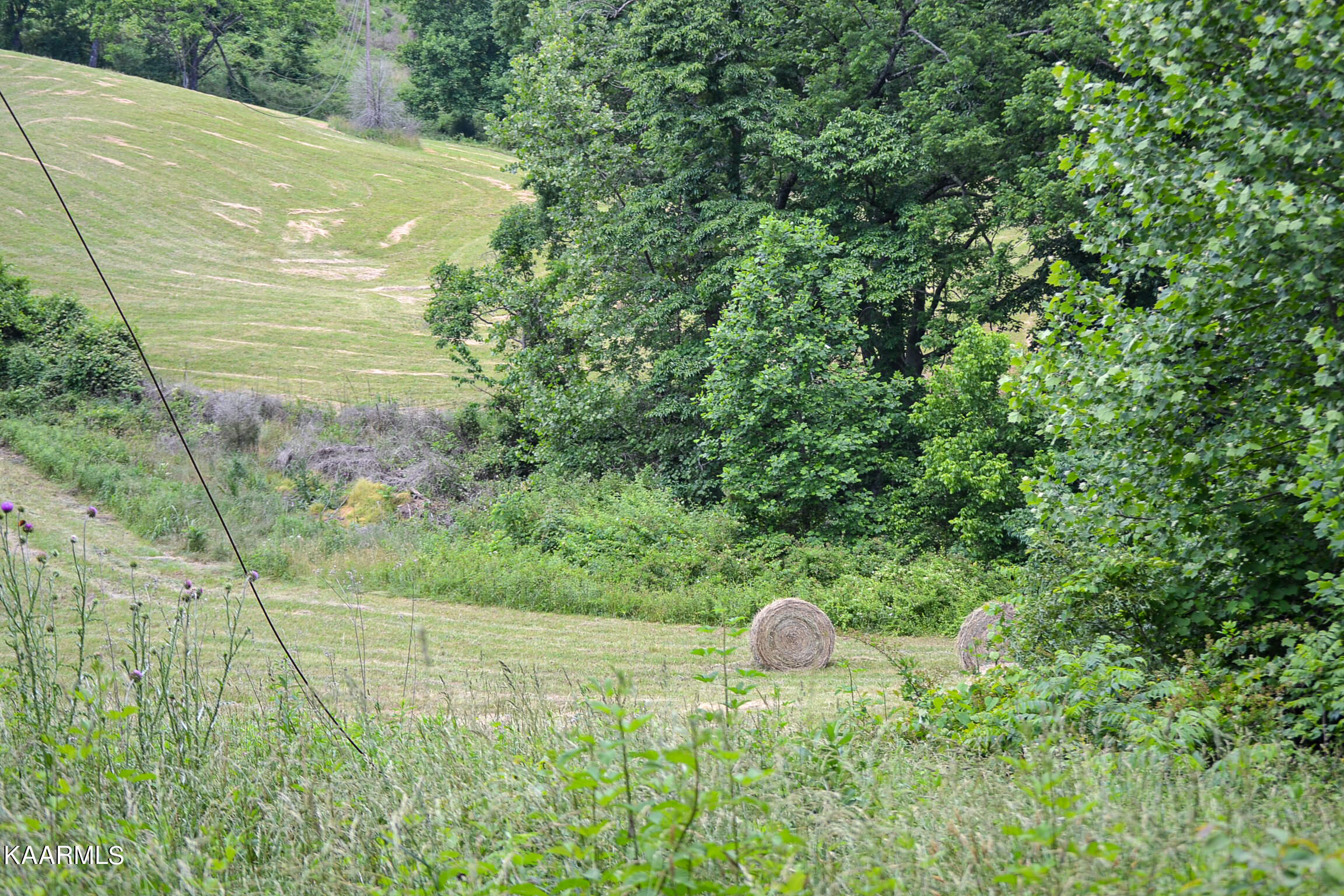 Tbd Cupp Ridge Road New Tazewell, TN 37825 - Photo 35 of 49 DSC_0810