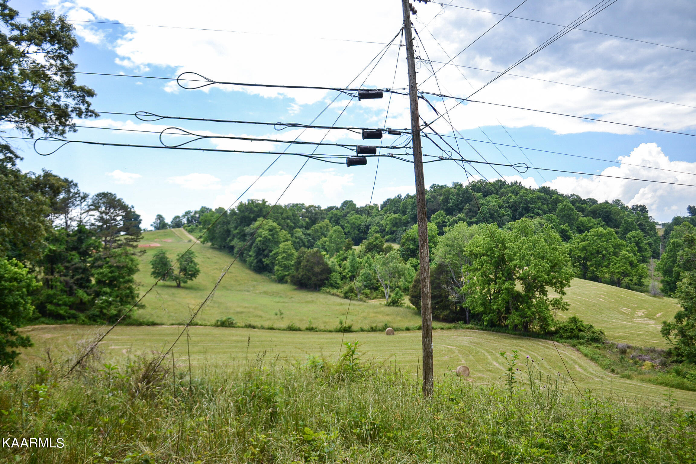 Tbd Cupp Ridge Road New Tazewell, TN 37825 - Photo 36 of 49 DSC_0811