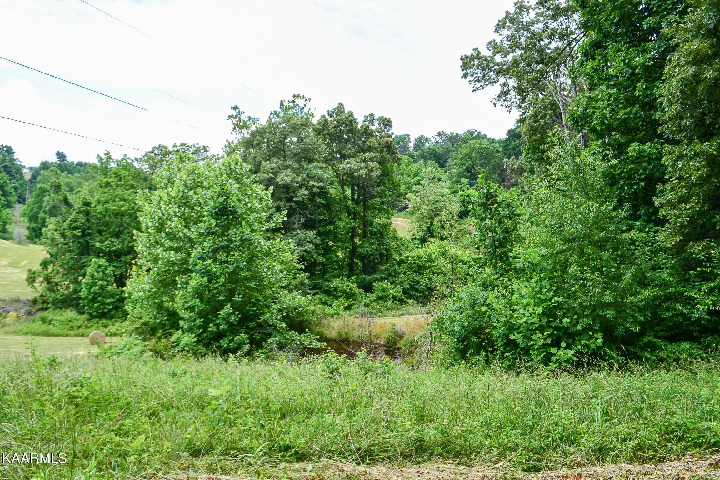 Tbd Cupp Ridge Road New Tazewell, TN 37825 - Photo 38 of 49 DSC_0813