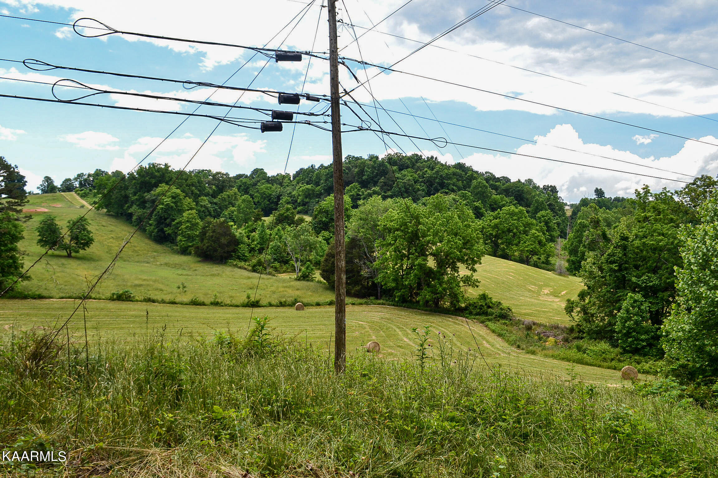Tbd Cupp Ridge Road New Tazewell, TN 37825 - Photo 39 of 49 DSC_0814