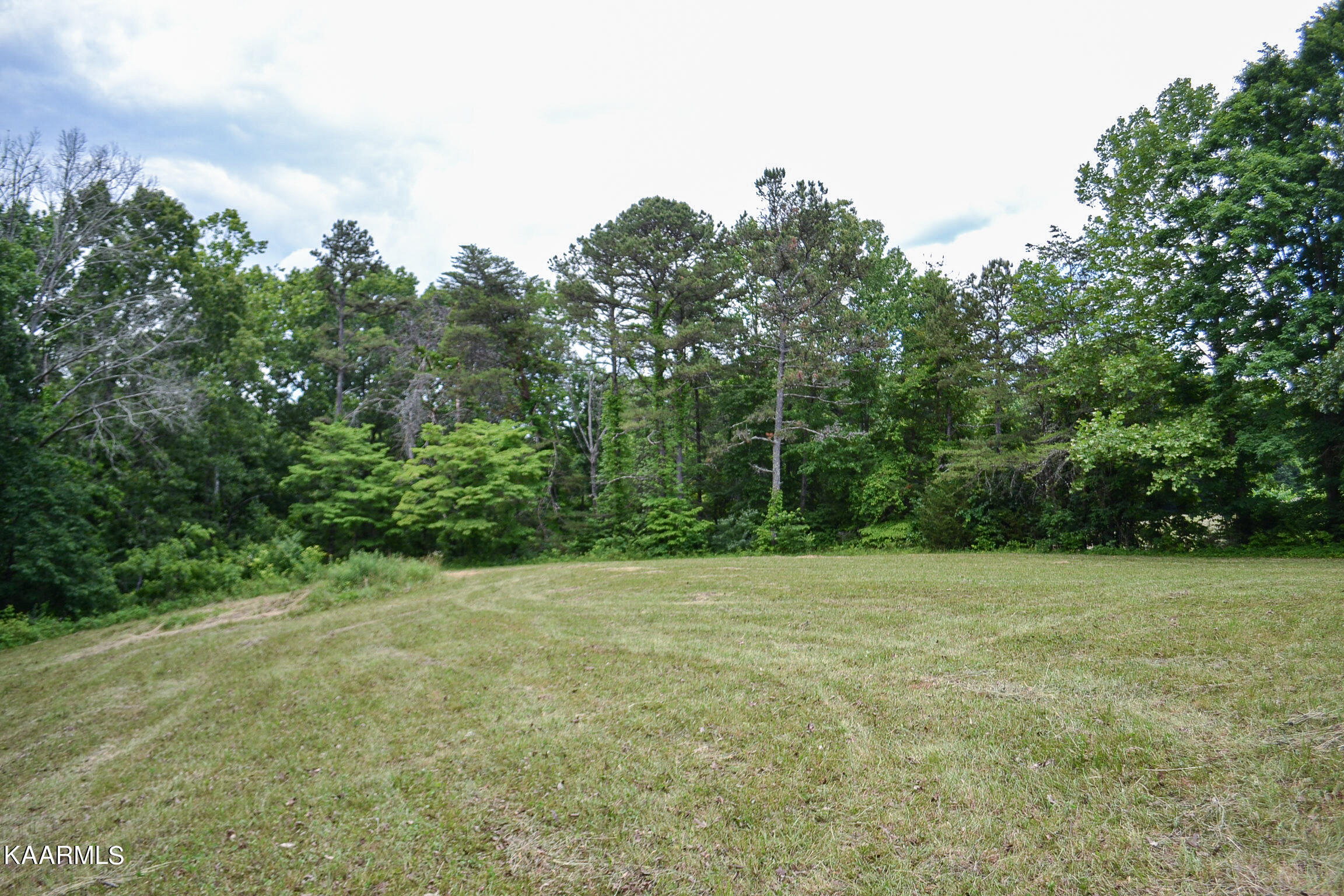 Tbd Cupp Ridge Road New Tazewell, TN 37825 - Photo 4 of 49 DSC_0768