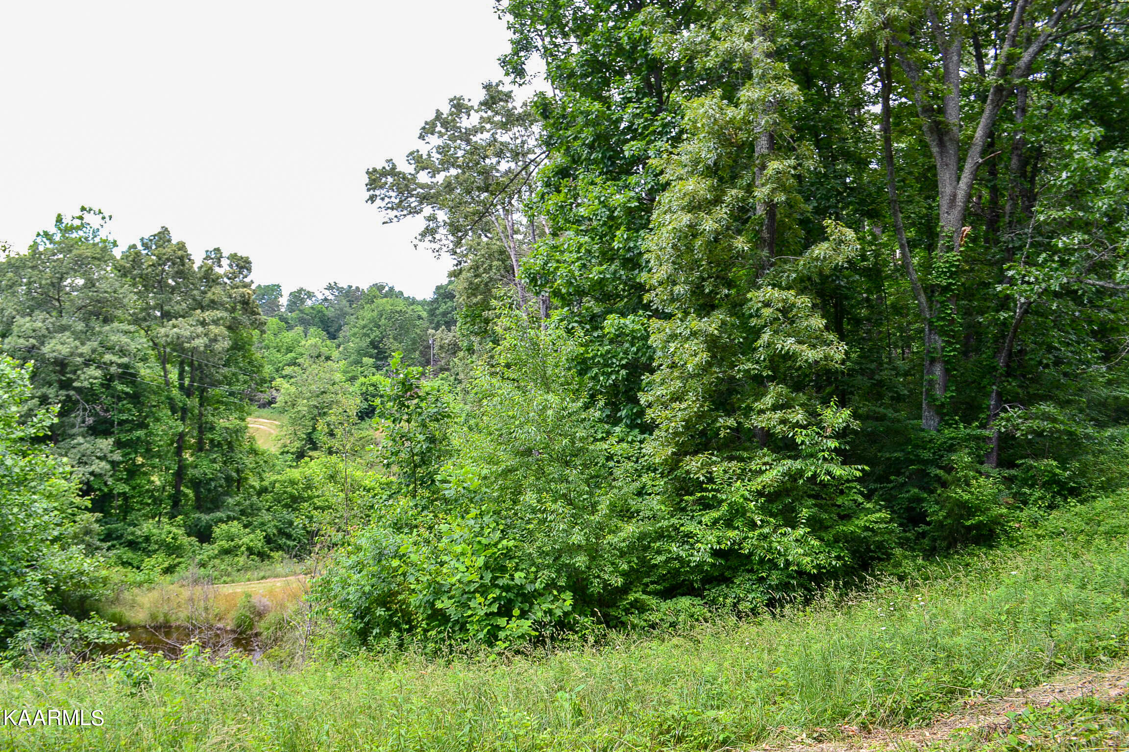 Tbd Cupp Ridge Road New Tazewell, TN 37825 - Photo 41 of 49 DSC_0816