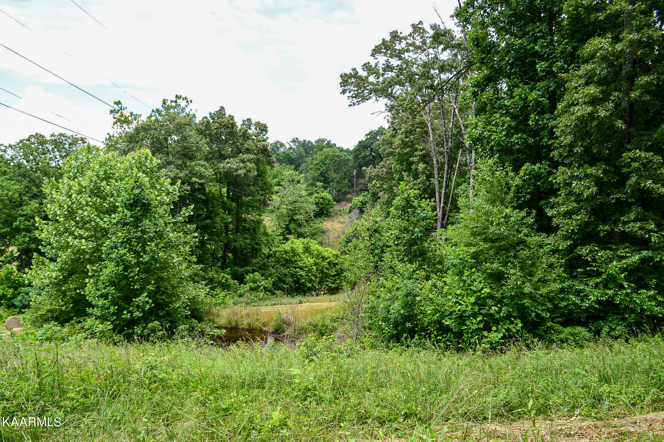 Tbd Cupp Ridge Road New Tazewell, TN 37825 - Photo 42 of 49 DSC_0817
