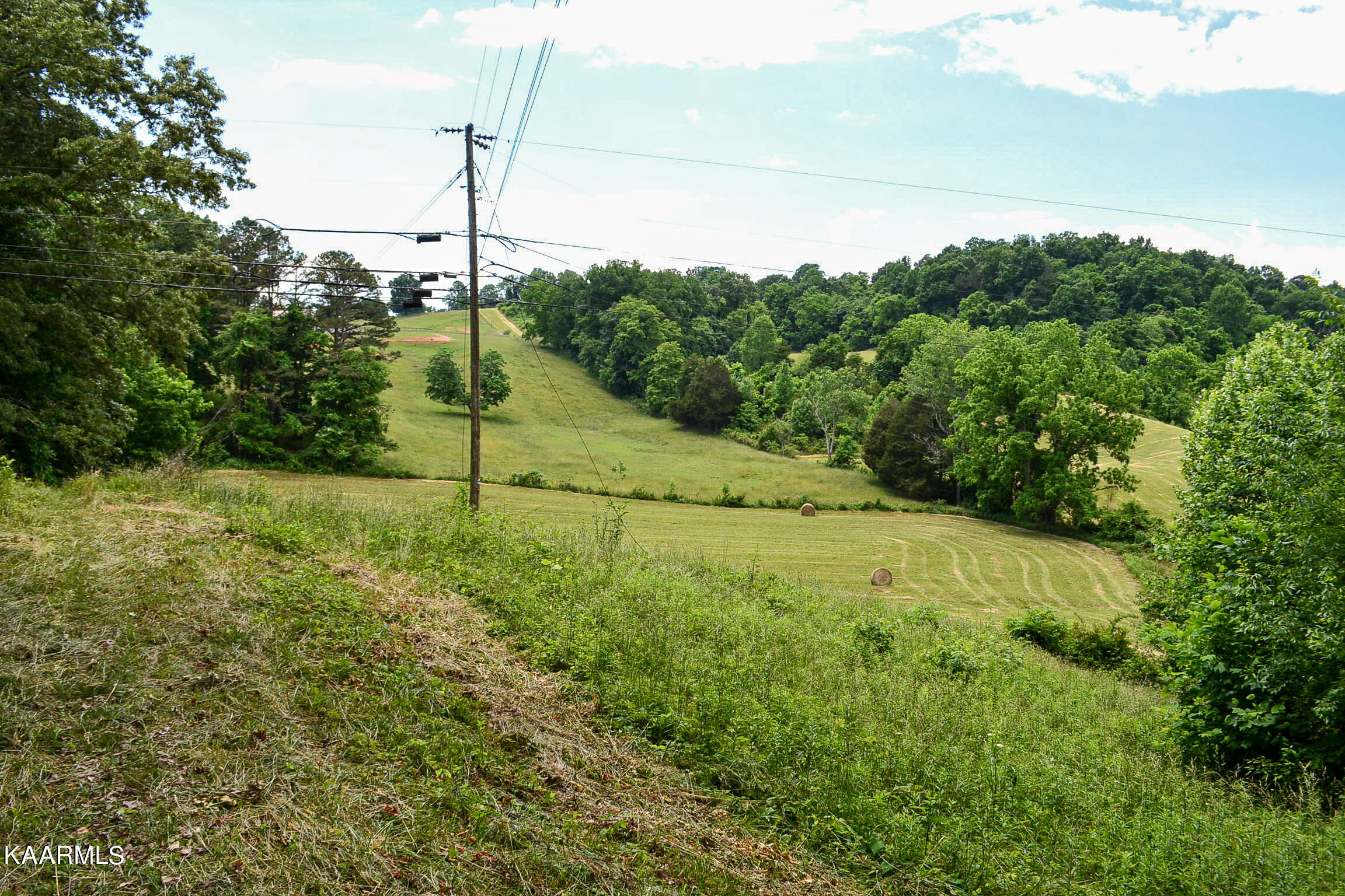 Tbd Cupp Ridge Road New Tazewell, TN 37825 - Photo 44 of 49 DSC_0820