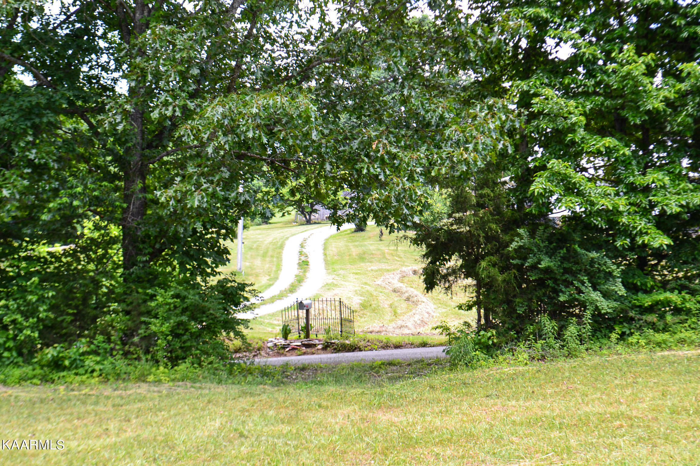 Tbd Cupp Ridge Road New Tazewell, TN 37825 - Photo 48 of 49 DSC_0826