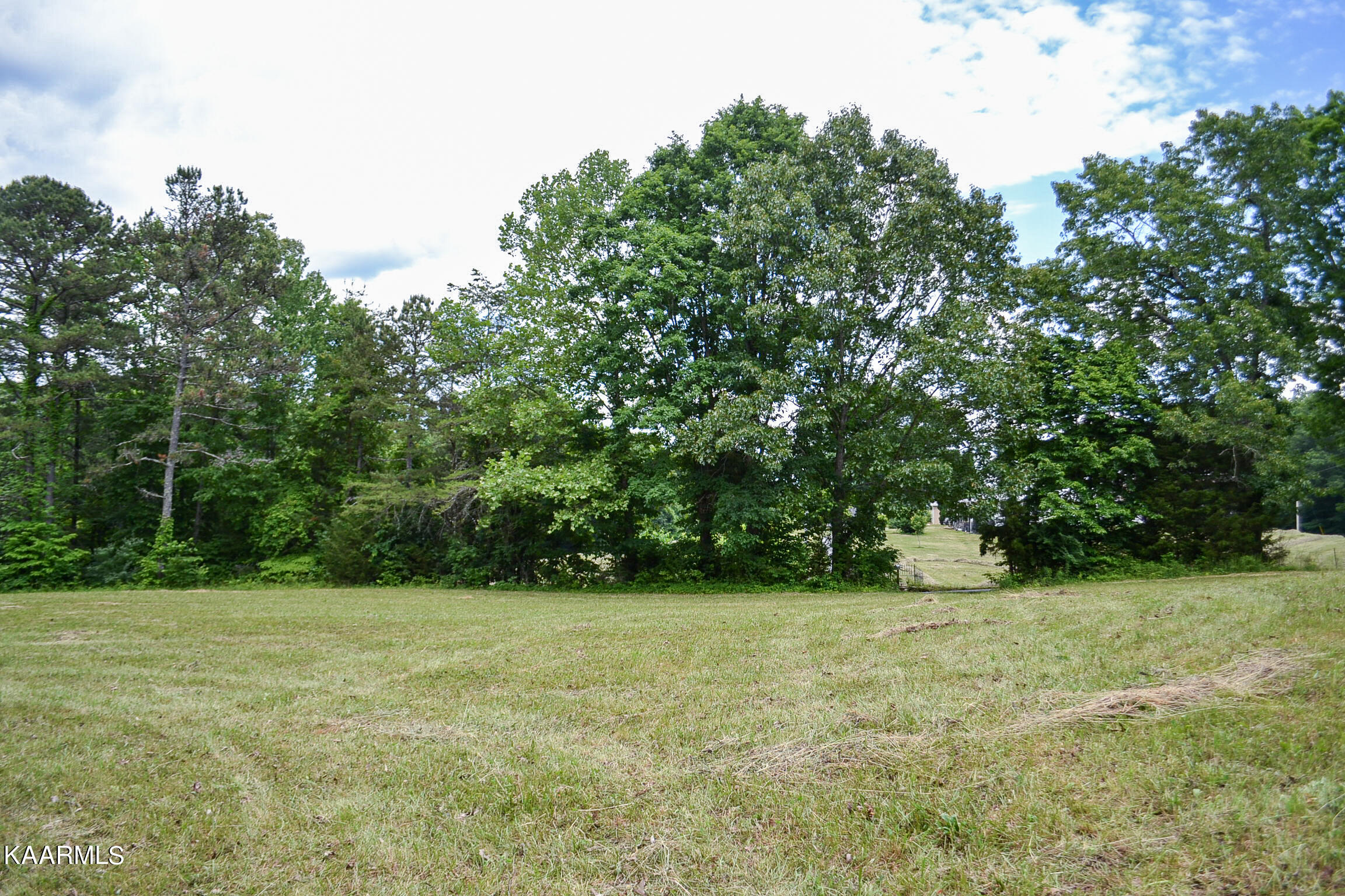Tbd Cupp Ridge Road New Tazewell, TN 37825 - Photo 5 of 49 DSC_0769