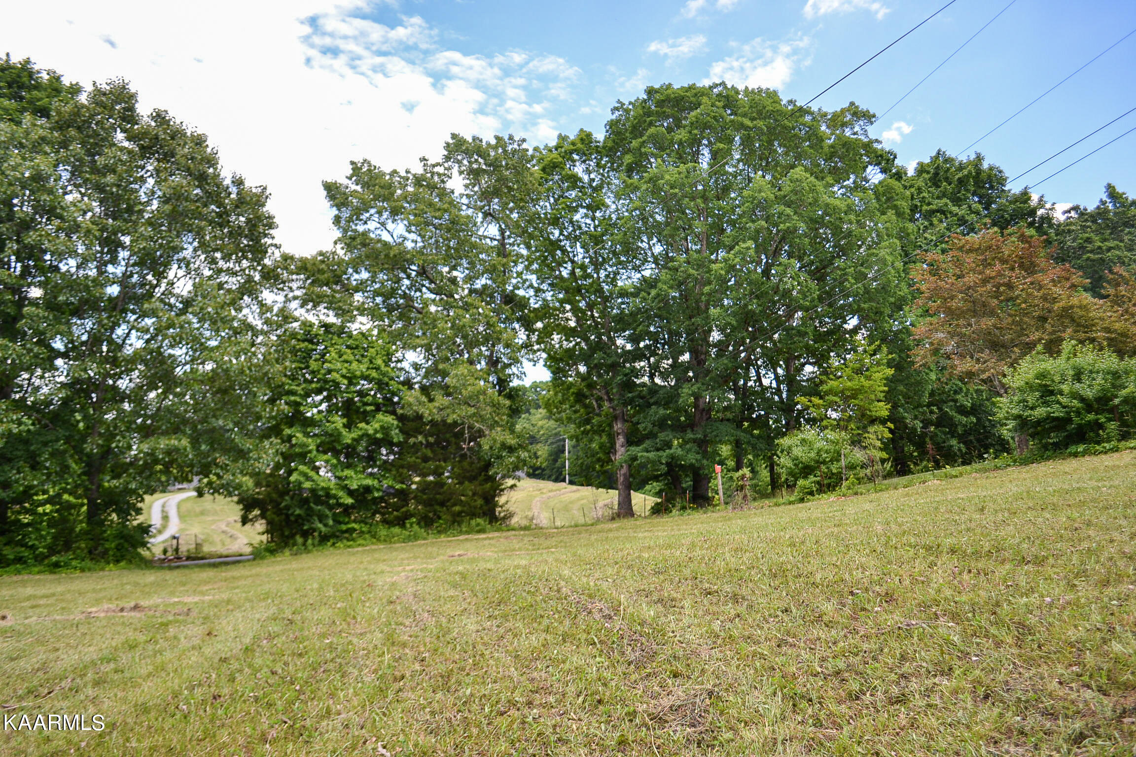 Tbd Cupp Ridge Road New Tazewell, TN 37825 - Photo 10 of 49 DSC_0774