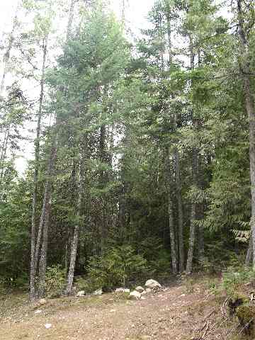 0 Eagle Lane Road Mead, WA 99021 - Photo 1 of 2