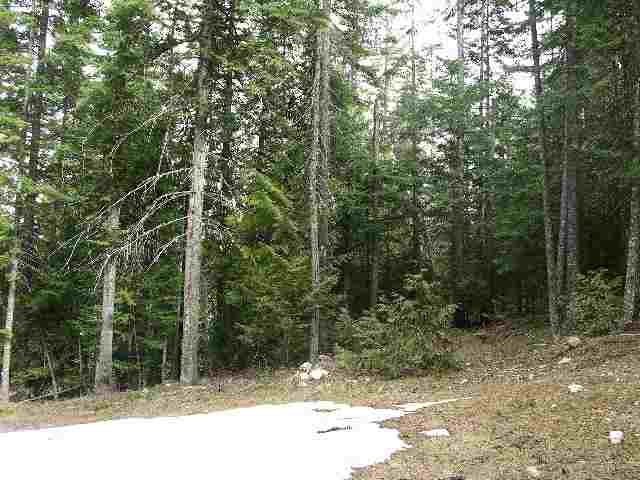 0 Eagle Lane Road Mead, WA 99021 - Photo 2 of 2