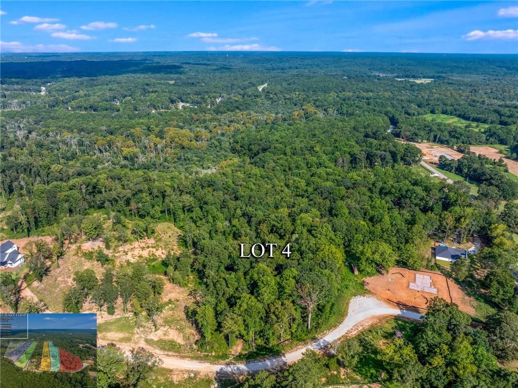 Lot 5 Stewart Loop Commerce, GA 30529 - Photo 4 of 12 a view of a yard with a lake