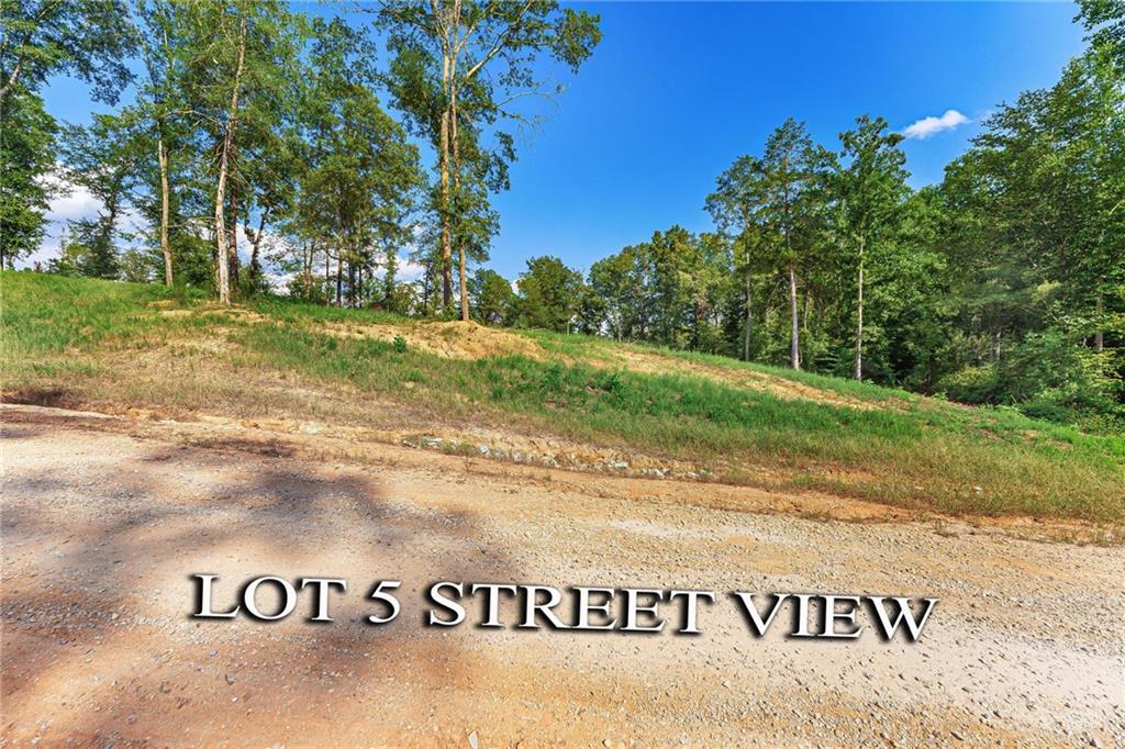 Lot 5 Stewart Loop Commerce, GA 30529 - Photo 5 of 12 a view of a park that has a tree