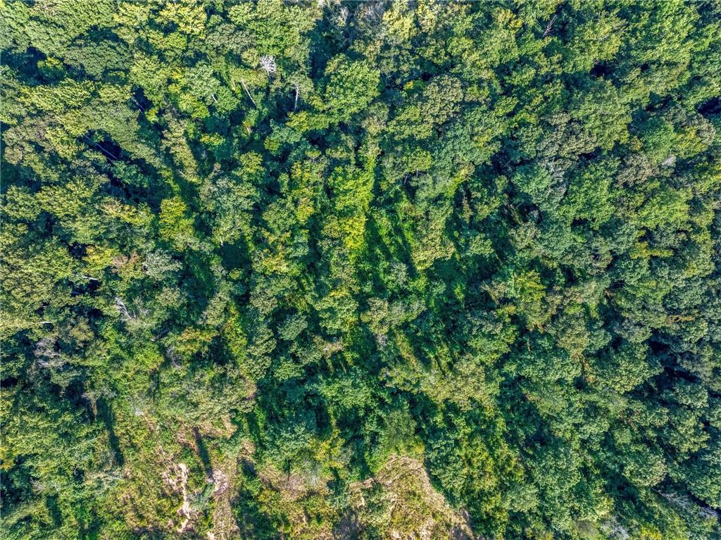 Lot 5 Stewart Loop Commerce, GA 30529 - Photo 8 of 12 a view of a lush green forest