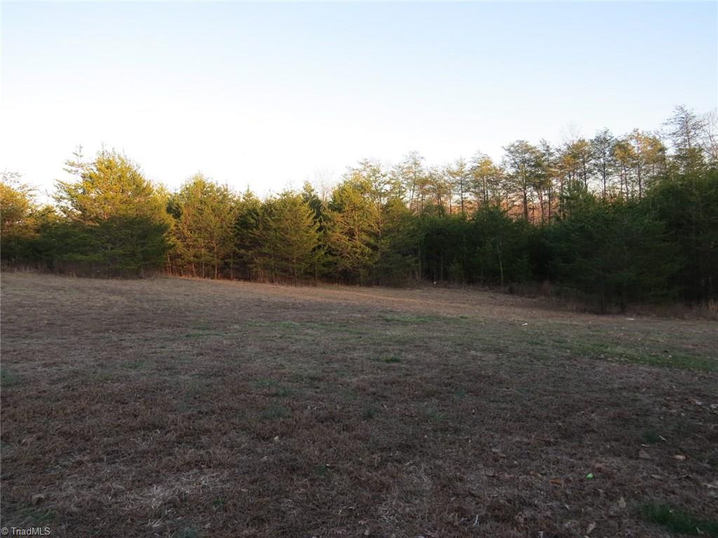 121 Alcorn Loop Ruffin, NC 27326 - Photo 17 of 19 Acreage