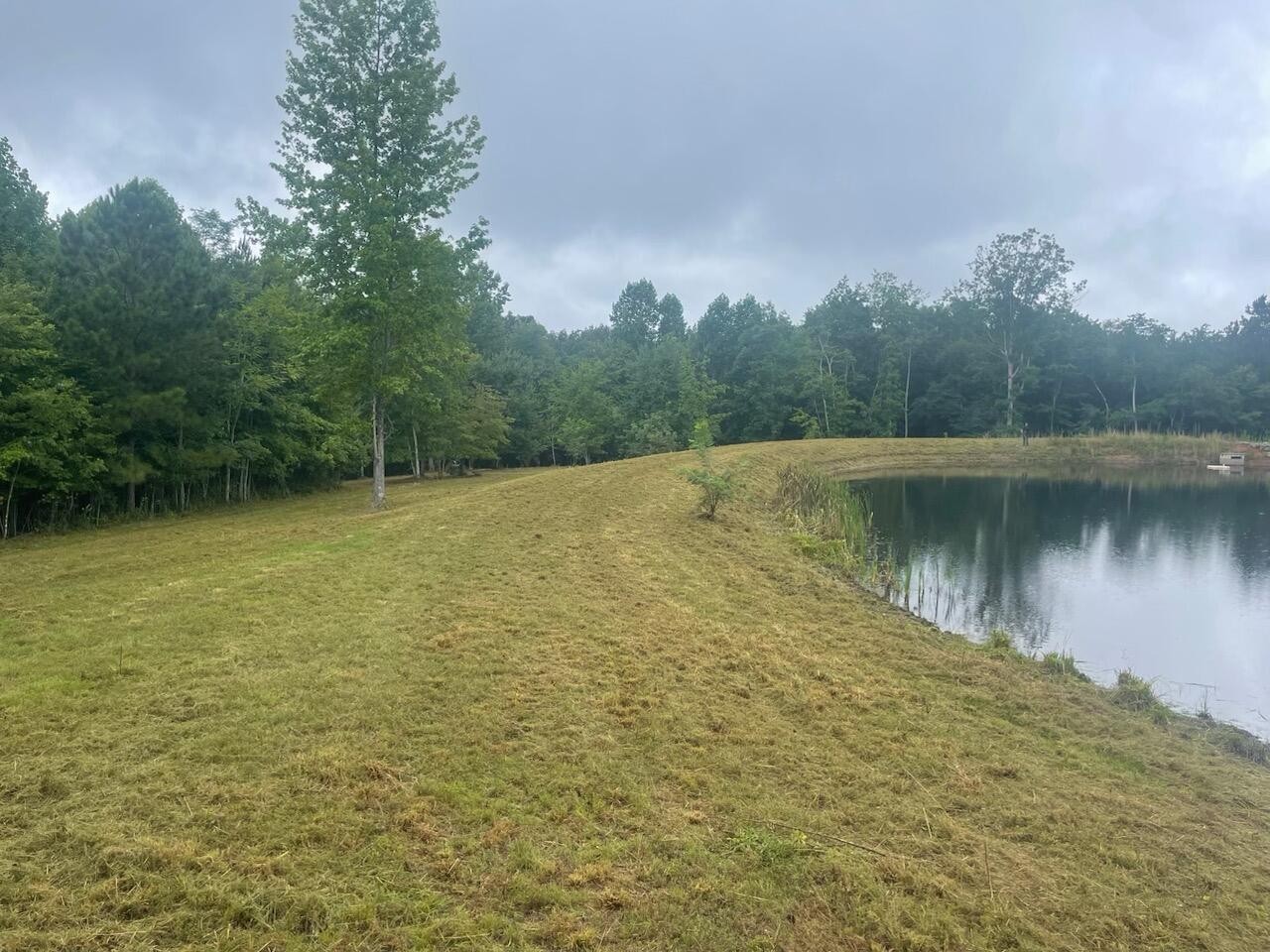 460 Cherokee Path Jasper, TN 37347 - Photo 11 of 29