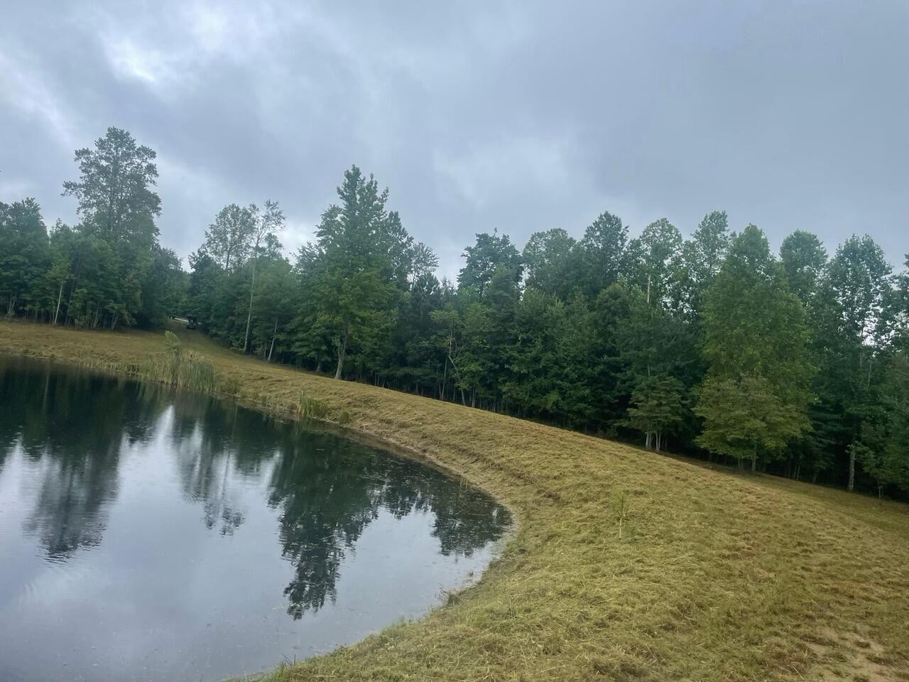 460 Cherokee Path Jasper, TN 37347 - Photo 12 of 29