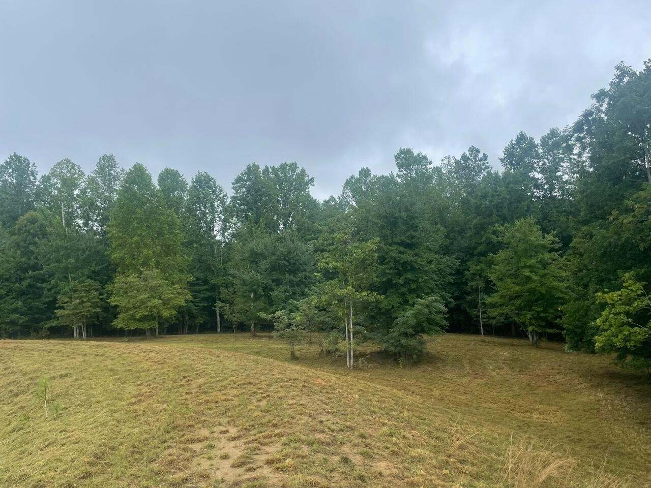 460 Cherokee Path Jasper, TN 37347 - Photo 13 of 29