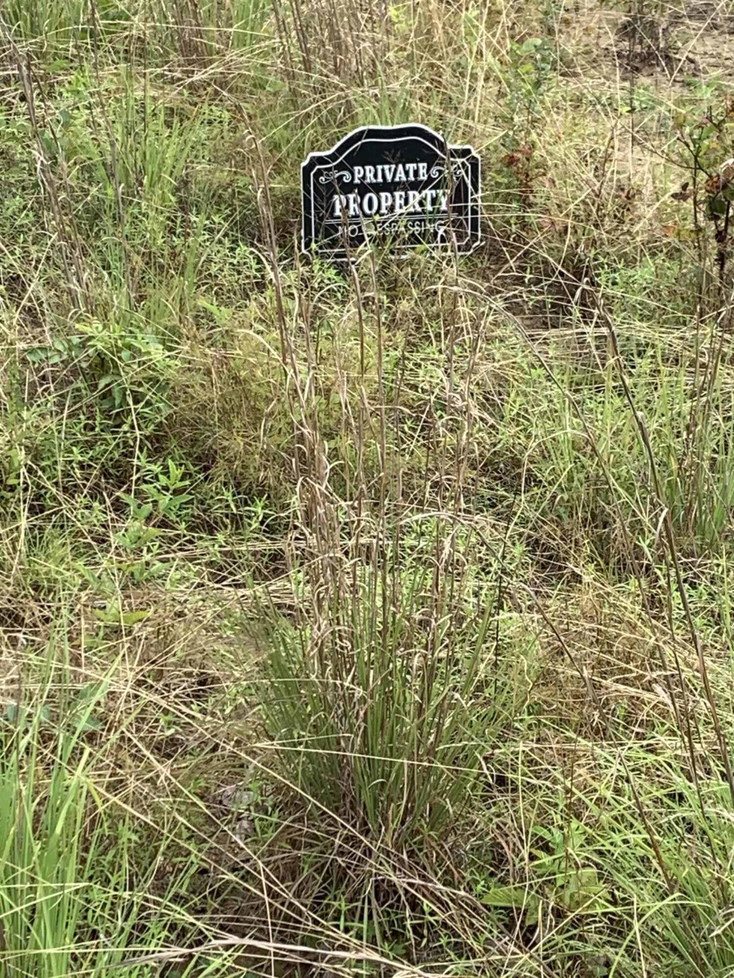 460 Cherokee Path Jasper, TN 37347 - Photo 17 of 29