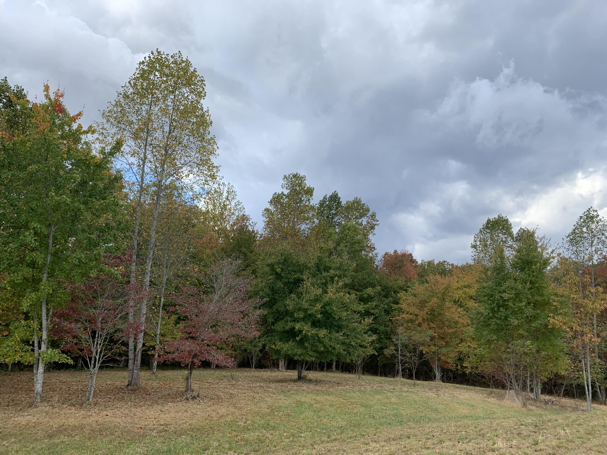 460 Cherokee Path Jasper, TN 37347 - Photo 10 of 29