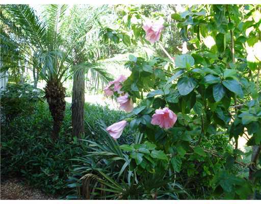 6183 Petunia Road Delray Beach, FL 33484 - Photo 11 of 18 Additional Photo
