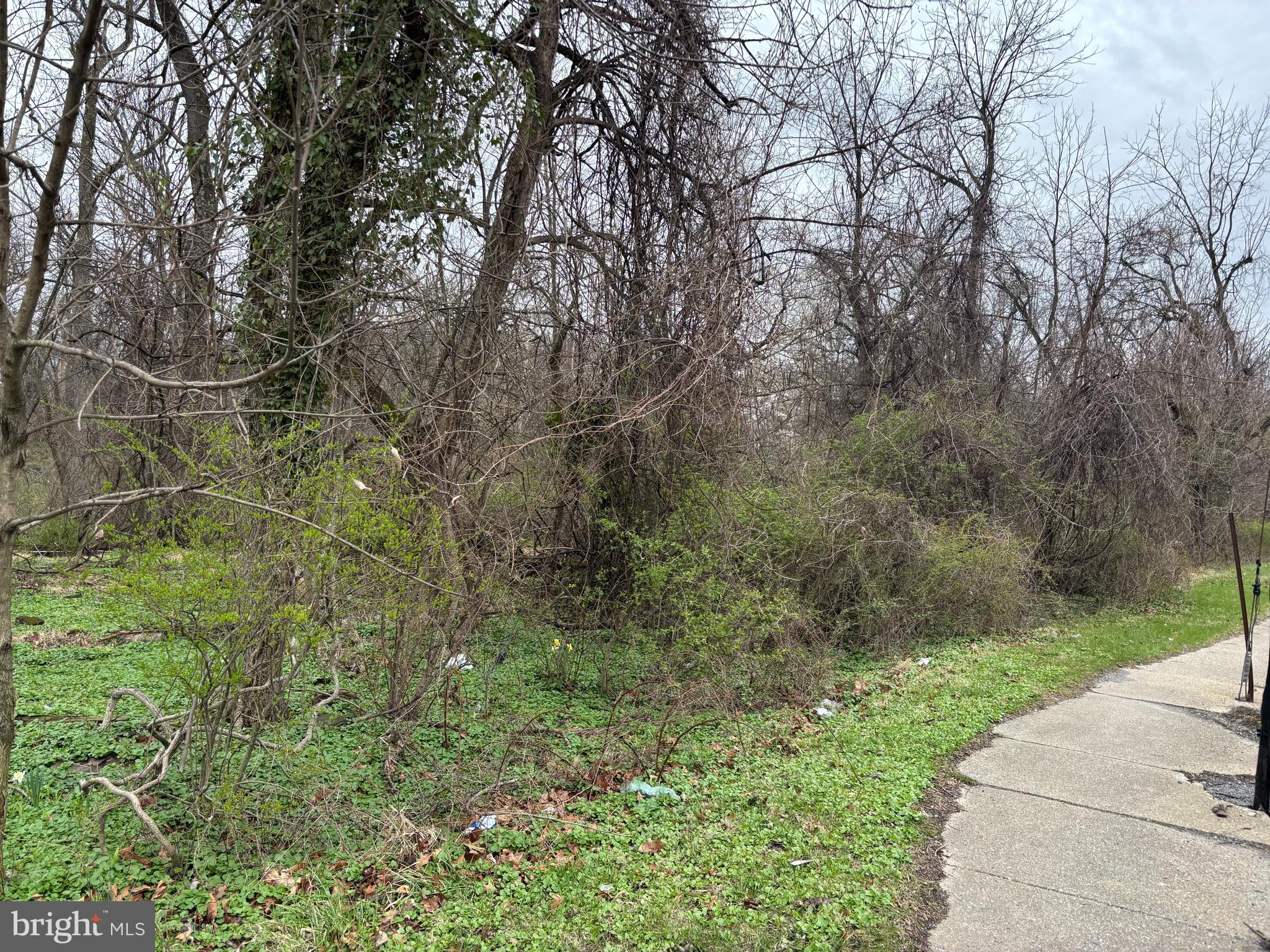 925 Milford Mill Road Pikesville, MD 21208 - Photo 2 of 5 a view of a yard with large trees