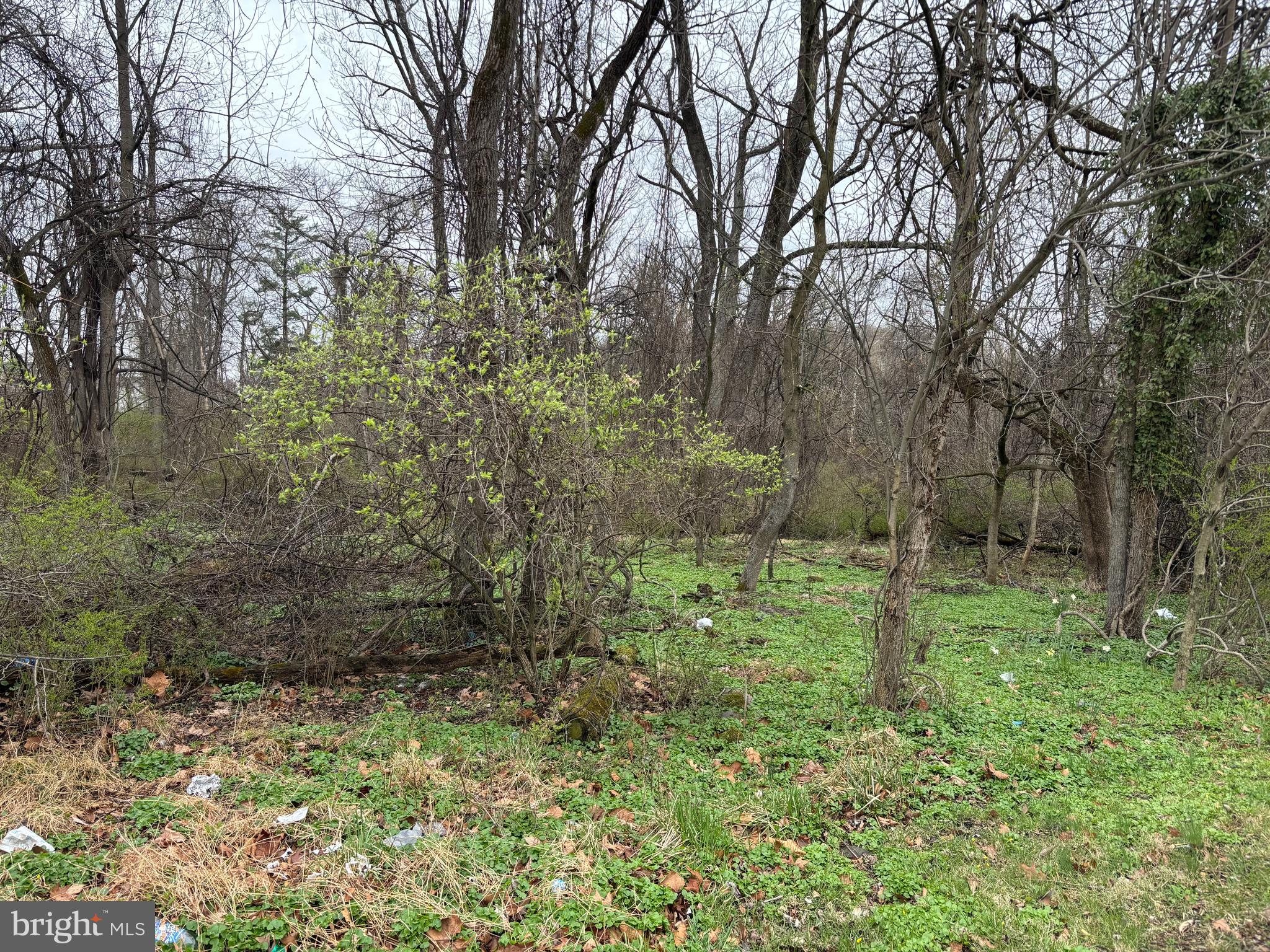 925 Milford Mill Road Pikesville, MD 21208 - Photo 5 of 5 a big yard with lots of green space and plants