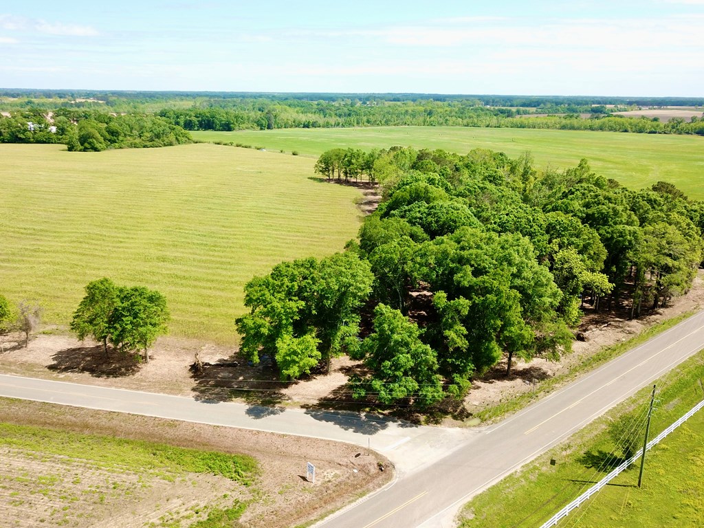92 County Road 92 Slocomb, AL 36375 - Photo 4 of 58