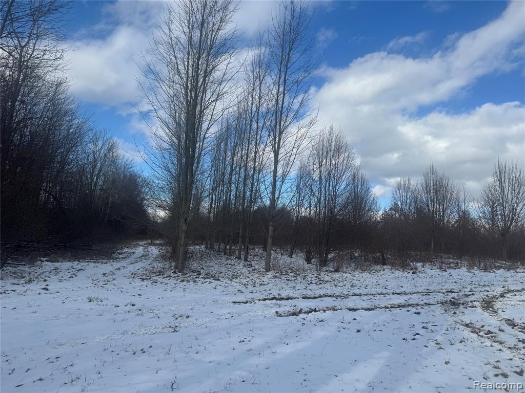 1 Remer Road East China, MI 48054 - Photo 8 of 14