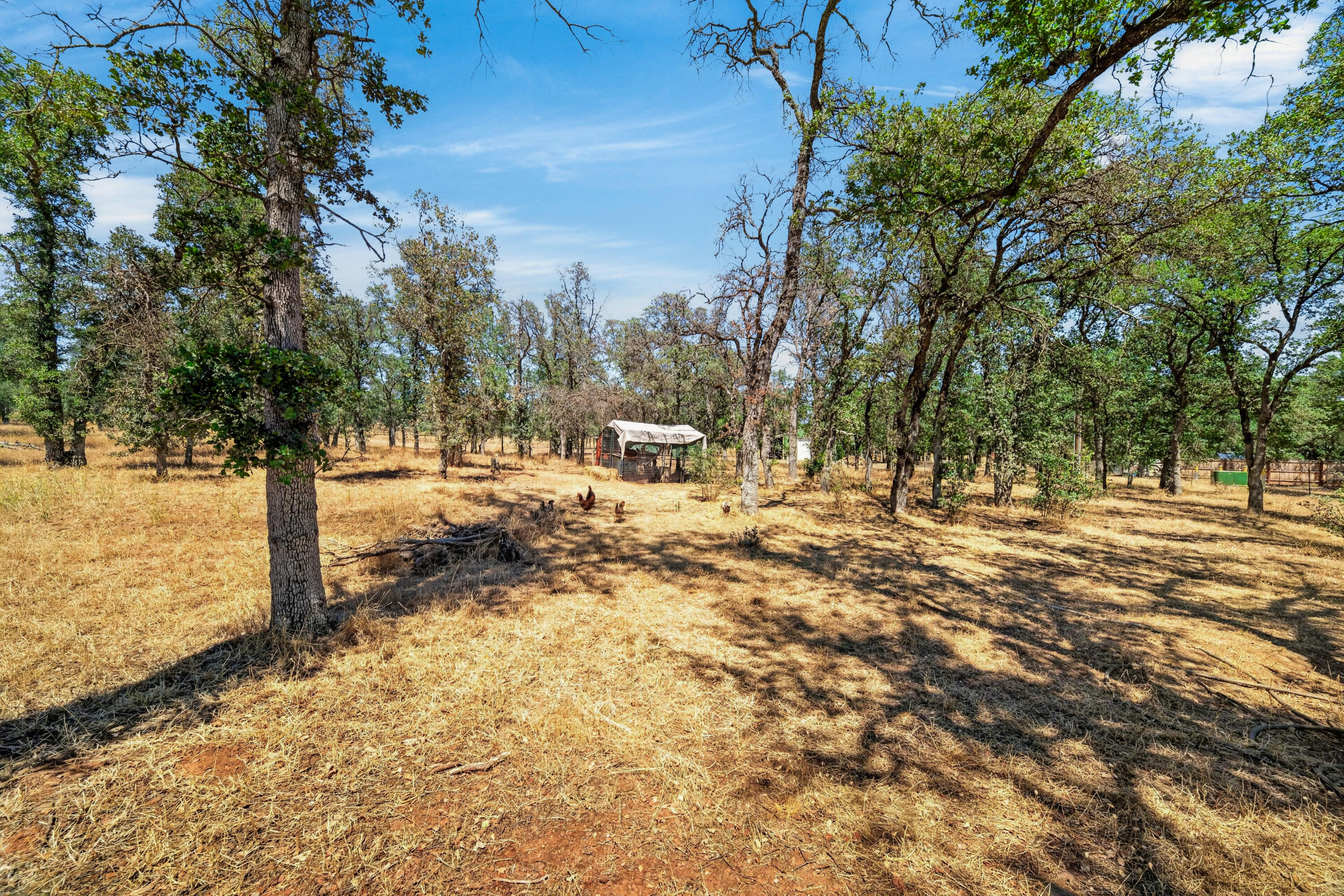 19720 Gas Point Road Cottonwood, CA 96022 - Photo 45 of 50 Backyard