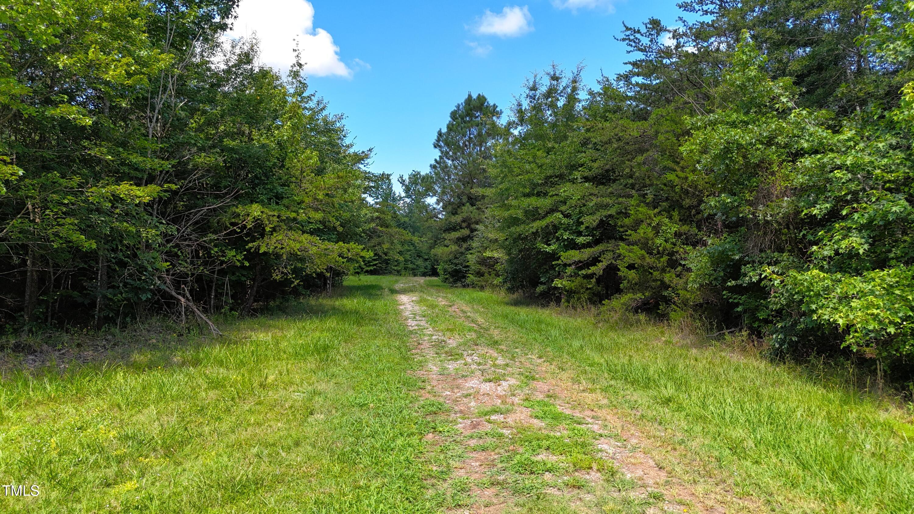 1550 Julian Oakley Road Rougemont, NC 27572 - Photo 7 of 15 7th Photo