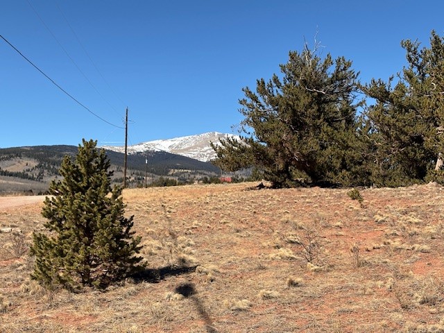 1344 Silver Heels Road Fairplay, CO 80440 - Photo 29 of 35