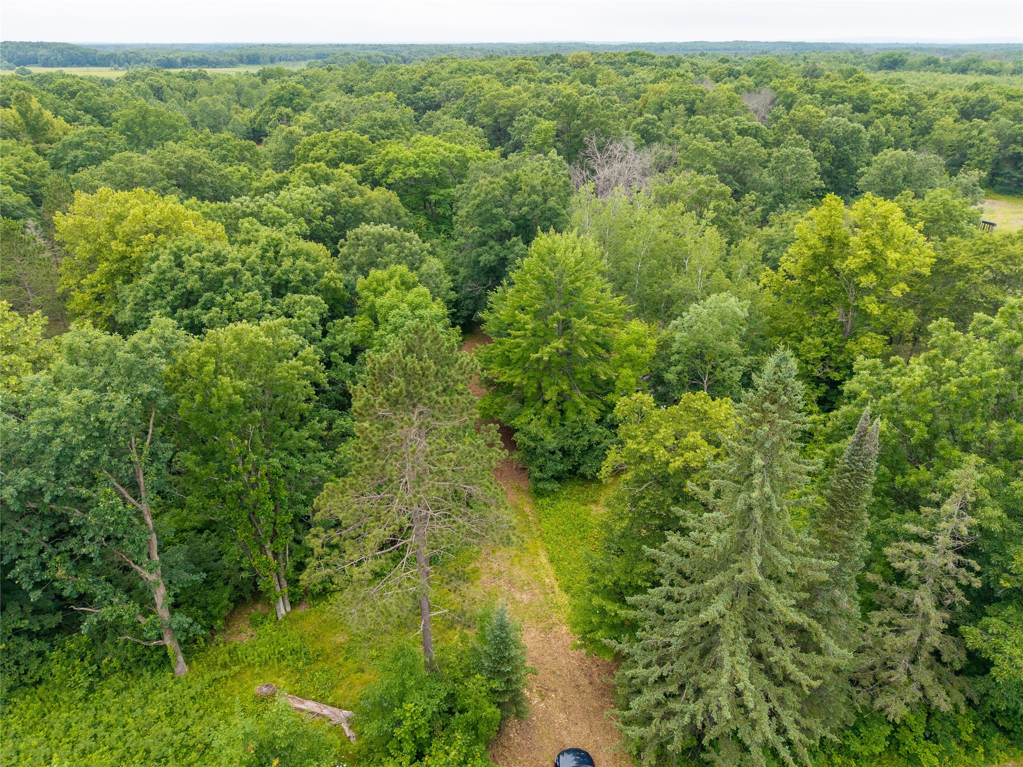 N1297 Cth Street Bruce, WI 54819 - Photo 17 of 43