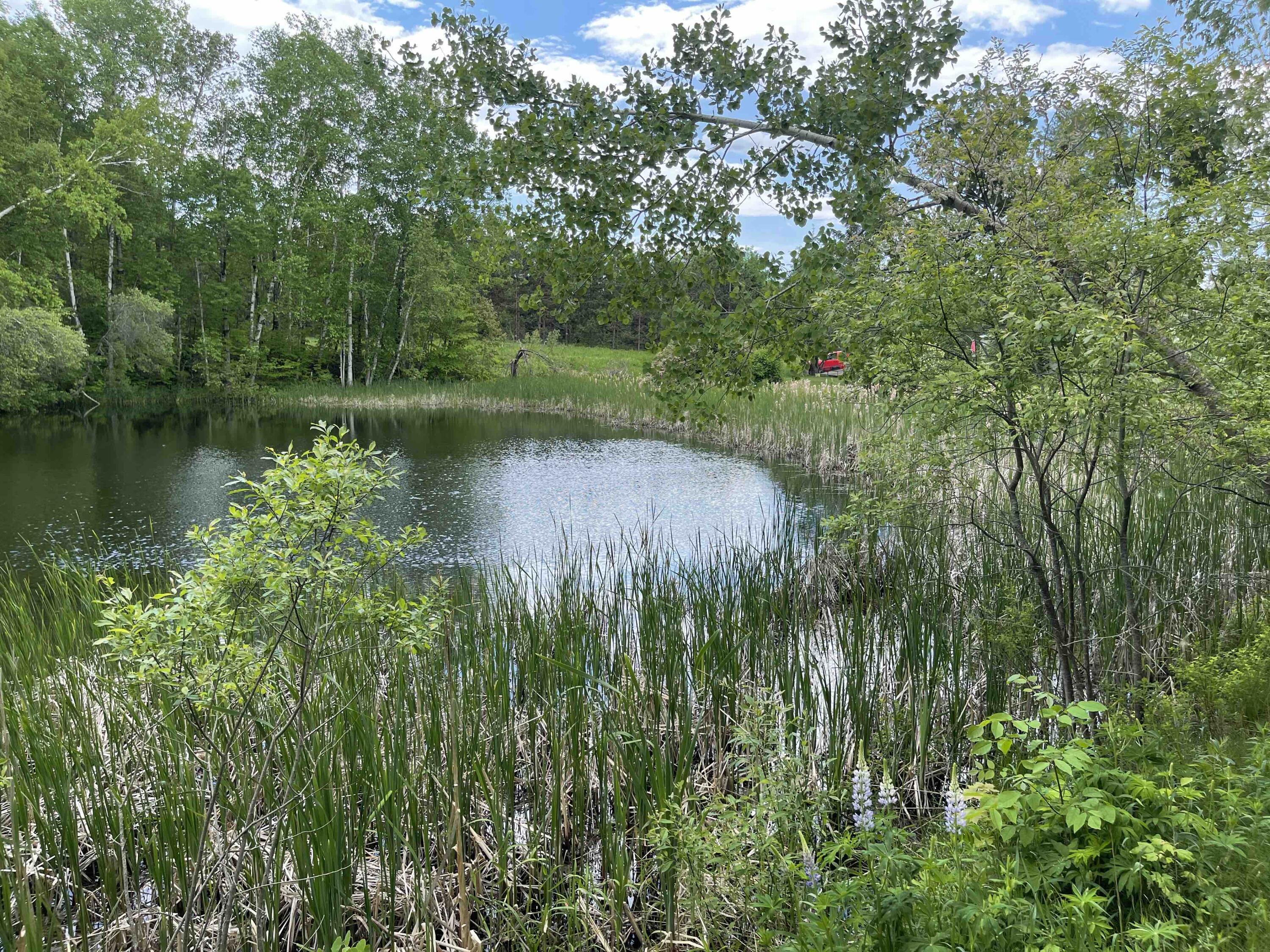 305 Dover Road Dexter, ME 04930 - Photo 10 of 35 7