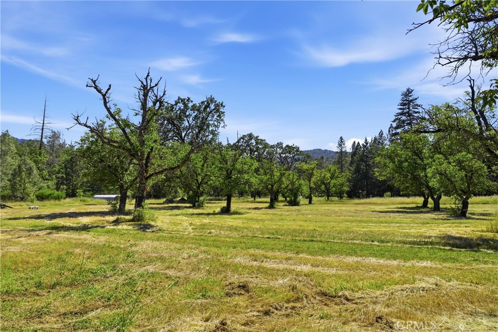 22550 Shady Grove Road Middletown, CA 95461 - Photo 4 of 68 flat useable land