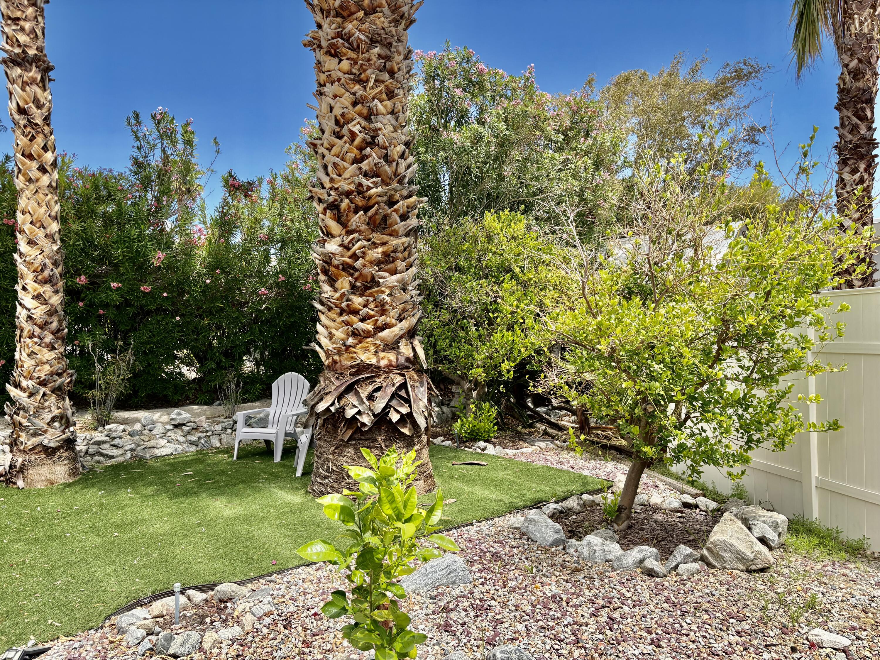 74711 Dillon Road, Unit 635 Desert Hot Springs, CA 92241 - Photo 29 of 55 a view of a garden with a bench