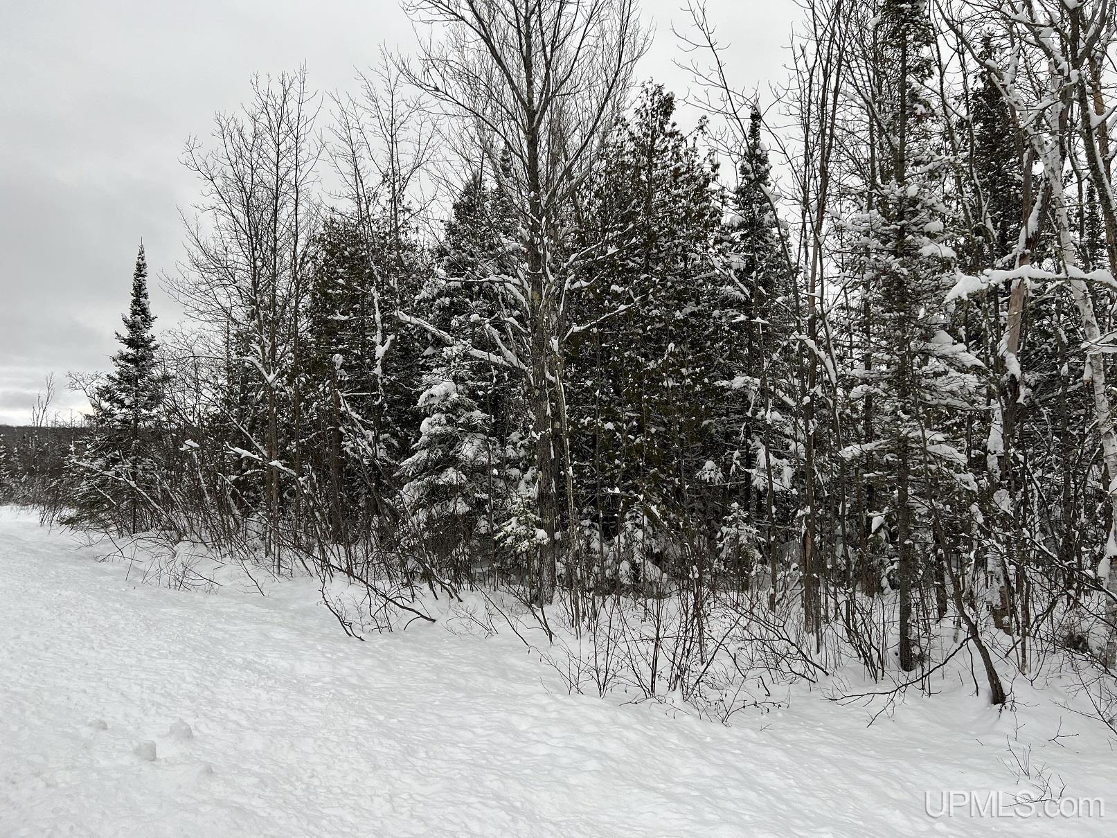 Tbd80 Froberg Road Baraga, MI 49908 - Photo 12 of 12 Gallery Image 12
