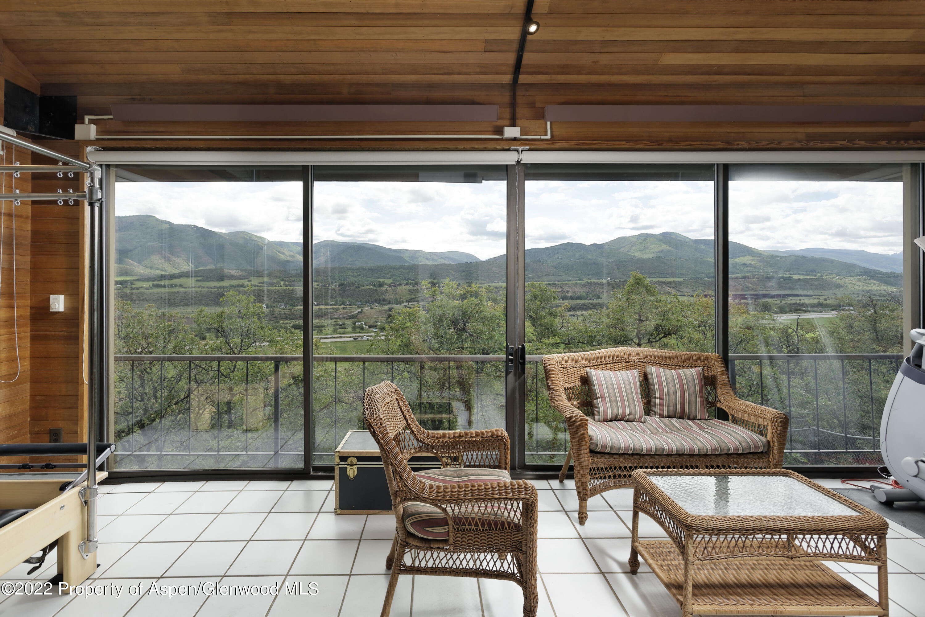540 Upper Ranch Road Aspen, CO 81611 - Photo 7 of 24 a balcony with furniture and a potted plant