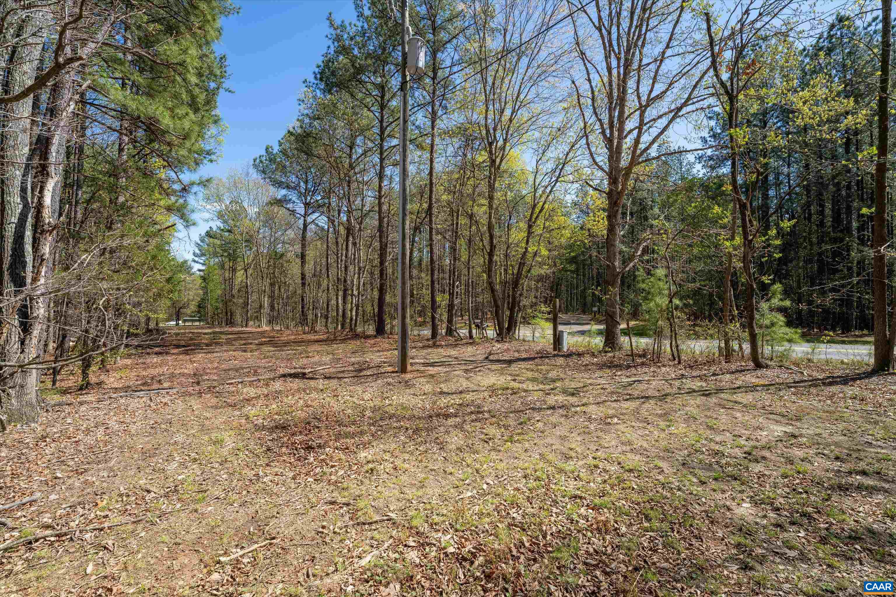 Lot 27 Martin Kings Road Charlottesville, VA 22902 - Photo 17 of 45 a view of a tree with a yard