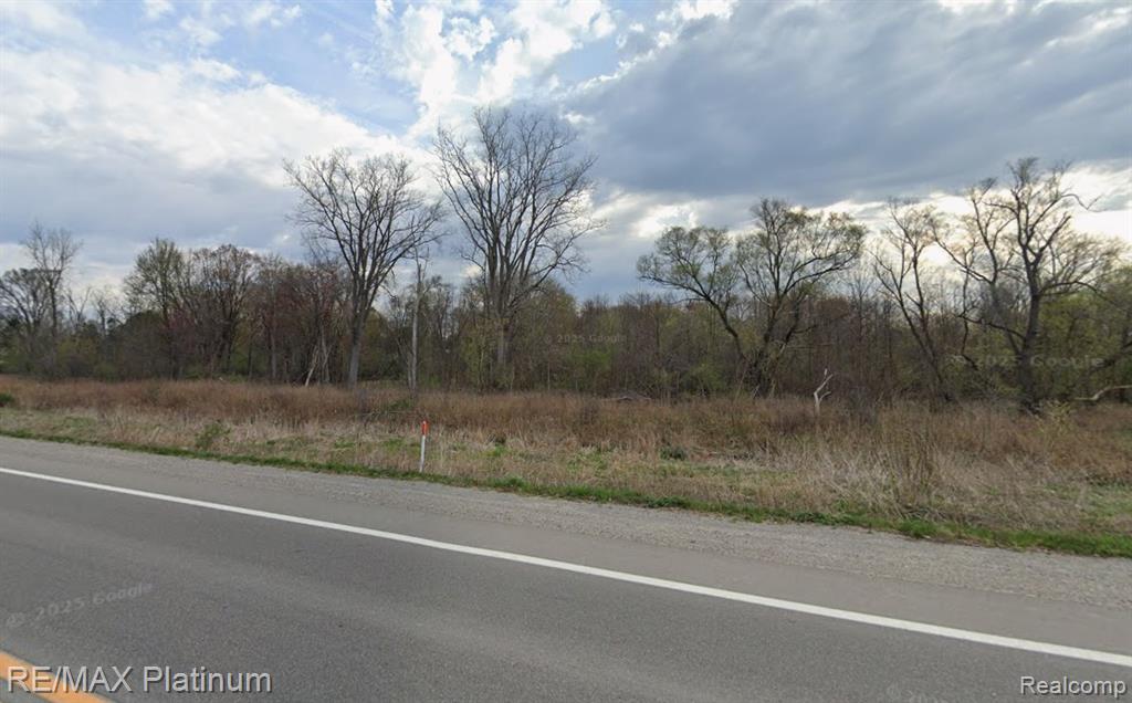 10 South Long Lake / Torrey Road Fenton, MI 48430 - Photo 4 of 4