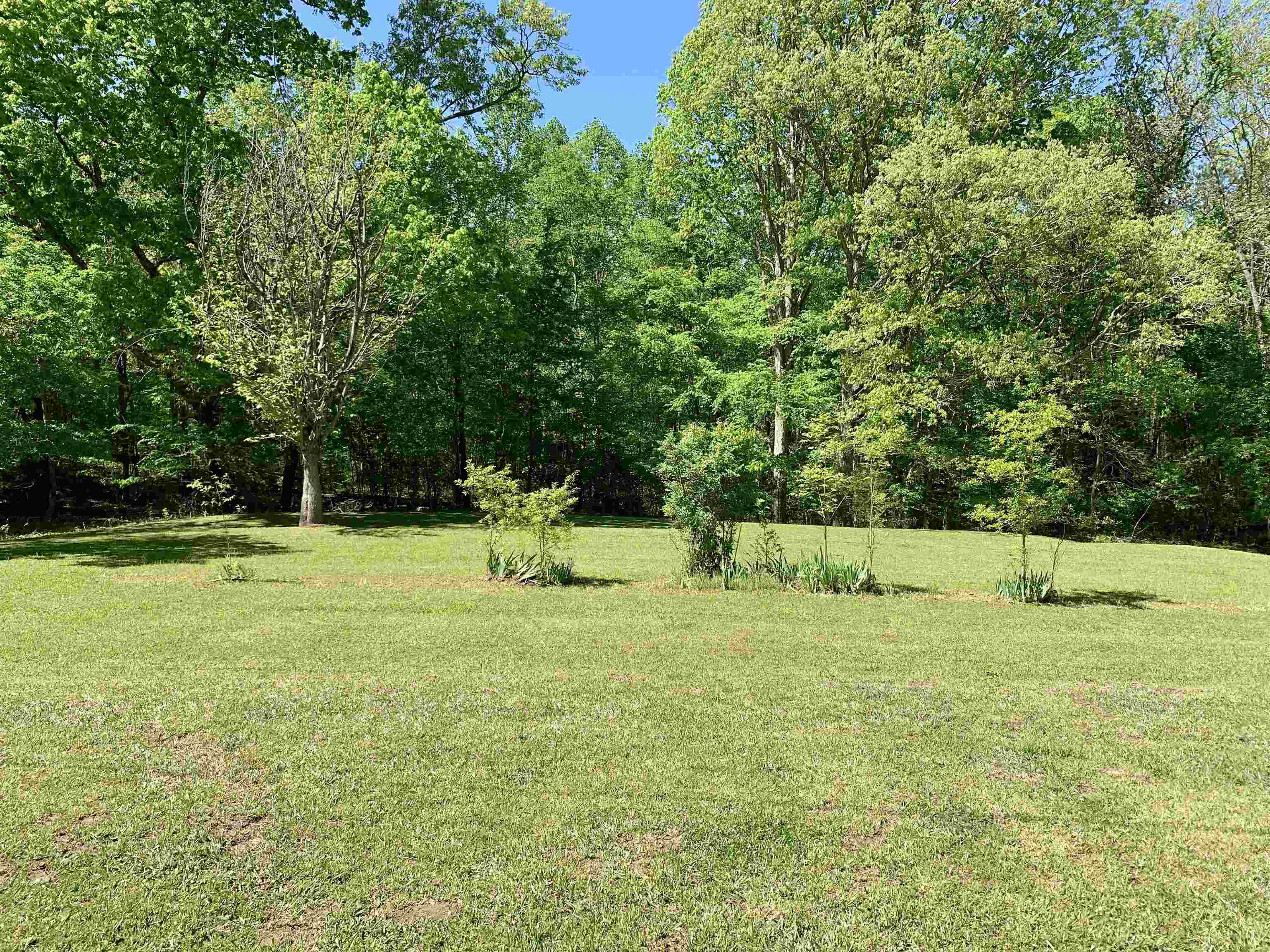 283 Cr 770 Road Walnut, MS 38683 - Photo 35 of 36 Gallery Image 35