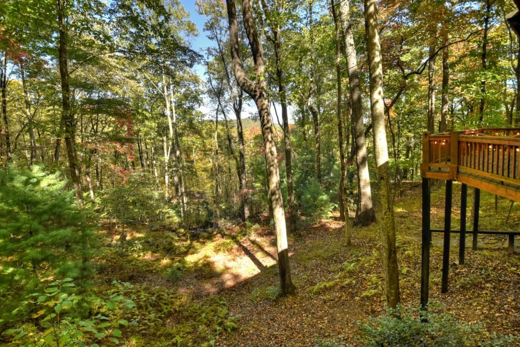 9 Joanna Court Blue Ridge, GA 30513 - Photo 29 of 34