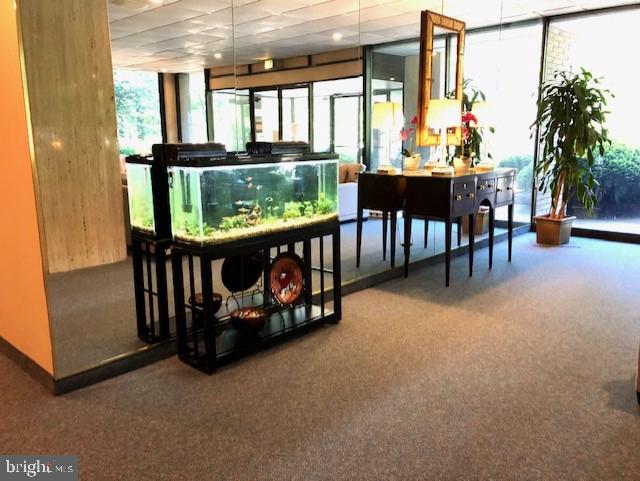 4401 Roland Avenue, Unit 115 Baltimore, MD 21210 - Photo 52 of 54 a view of a porch with furniture and yard