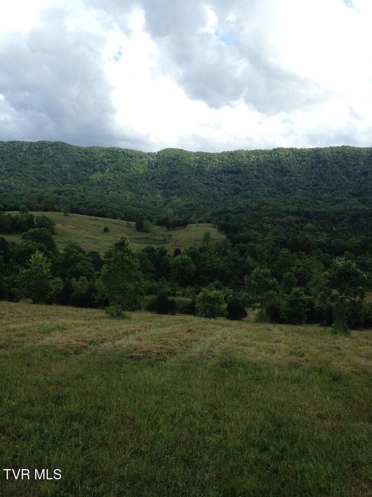 0 Rackum Road Thorn Hill, TN 37881 - Photo 7 of 8 image1