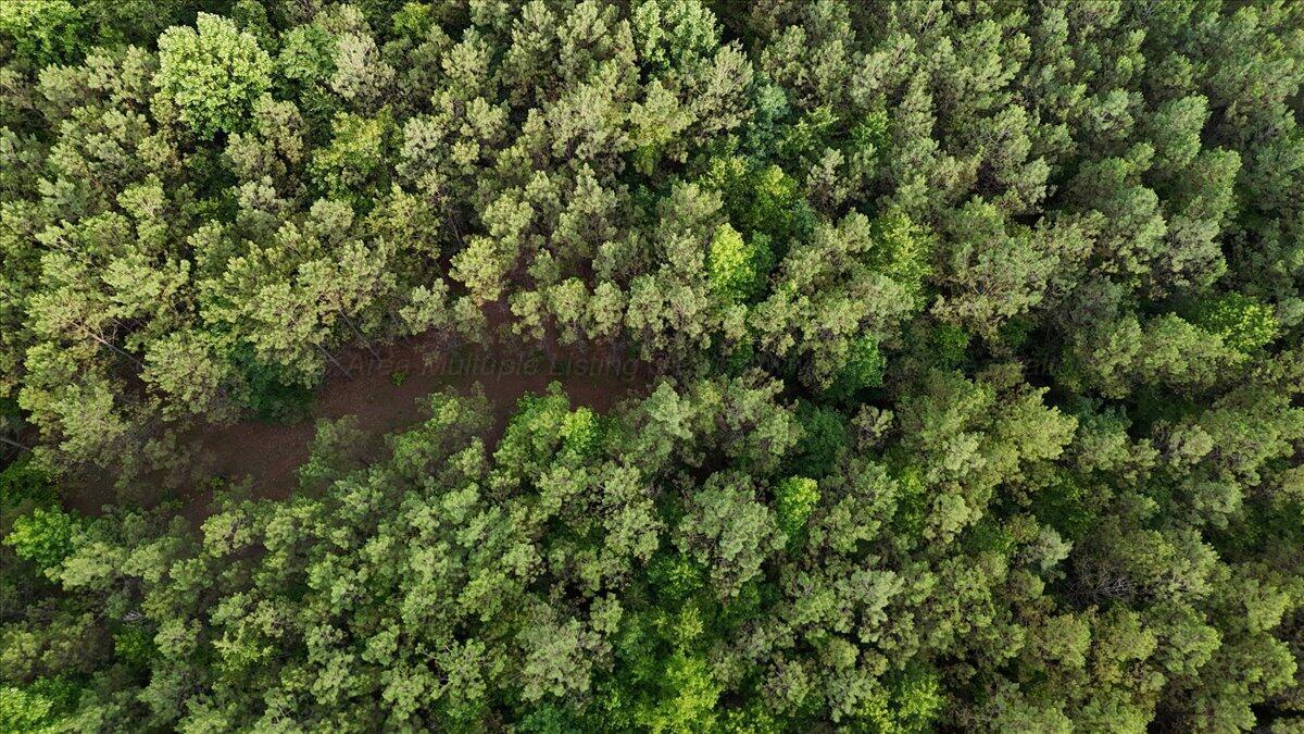 203 Tucker Road Lynn, AL 35575 - Photo 12 of 20 11-Tucker Rd-5