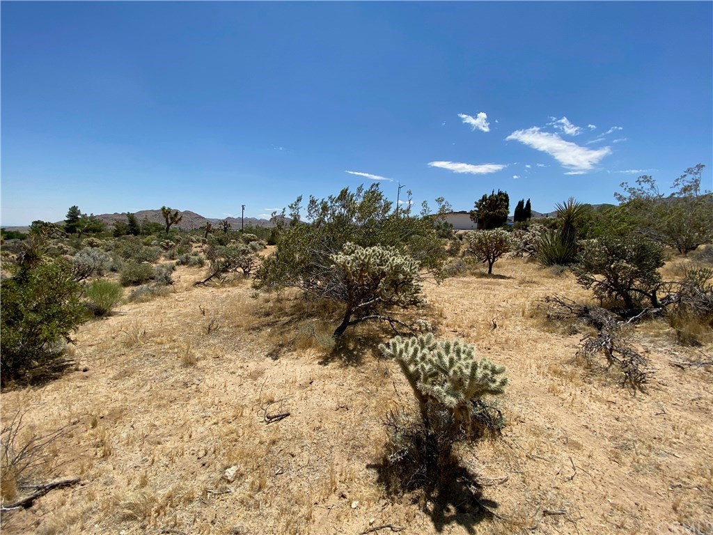 1234 Saddleback Road Joshua Tree, CA 92252 - Photo 1 of 1