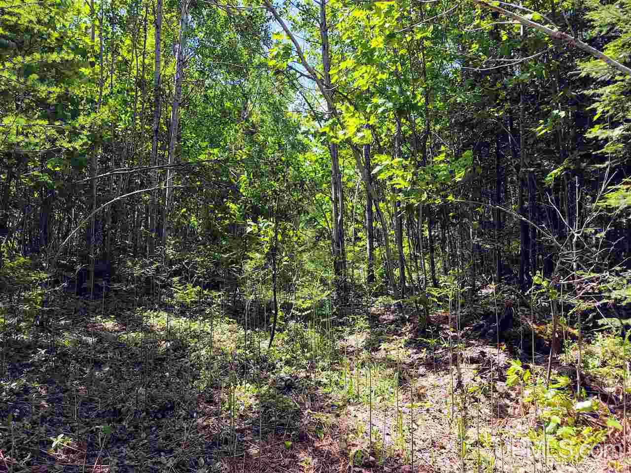 Tbd Co Rd Fp Republic, MI 49879 - Photo 31 of 33